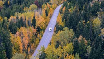 White Car Traveling Near Trees during Daytime